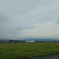 姫ちゃん-いい日旅立ち-谷村新司