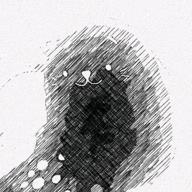 ときむね!-心做し-蝶々P