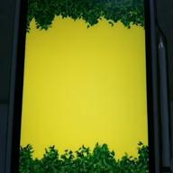 🍌🦍突然のゴリラ🦍🍌-となりのトトロ-井上あずみ