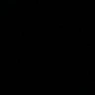 ゔぃおら-猫-DISH//