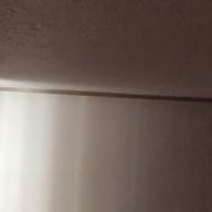 あたたた-キンモクセイ-オレンジスパイニクラブ