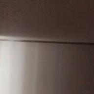 あたたた-猫-DISH//