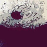 kuronowaさん-シャルル-バルーン