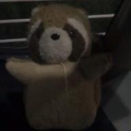 たぬきのポン太🌟-マジで感謝!-T-Pistonz + KMC