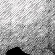 🚄エミル🚄-猫-DISH//