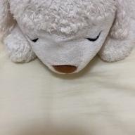 wuiq-マリーゴールド-あいみょん