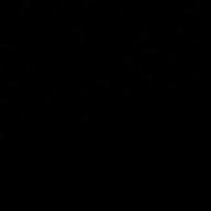 髙𣘺88-三線の花-BEGIN