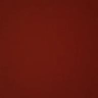 ひろたん-カブトムシ-aiko