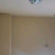 4から15文字-花に亡霊-ヨルシカ