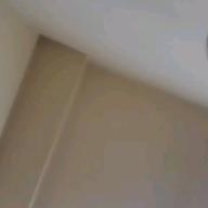 4から15文字-猫-DISH//