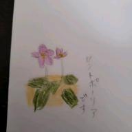 🌼梅桃桜🌼-飛んでイスタンブール-庄野真代