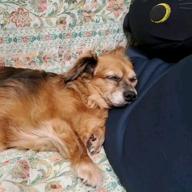 キューピー-さよならの夏 ～コクリコ坂から～-手嶌葵