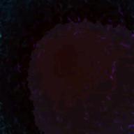 アニソンばっかり歌うちゃん-カワキヲアメク-美波