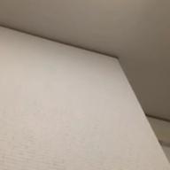 itdmjt-SUN-星野源