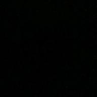 カモノハシ-HAPPY BIRTHDAY-back number