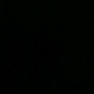 カモノハシ-シングルベッド-シャ乱Q