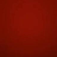 TAISEI-キンモクセイ-オレンジスパイニクラブ