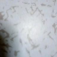 MASAYAN-シングルベッド-シャ乱Q