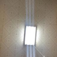 たっちゃん-ふれあうだけで ～Always with you～-三浦大知