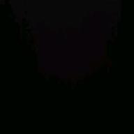 ﾆｺﾄﾝ🐷-ひまわりの約束-秦 基博(ハタ・モトヒロ)