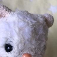 ぷーちゃん-英雄の歌-オーイシマサヨシ