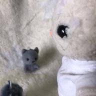 ぷーちゃん-白日-King Gnu