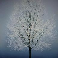 Katase🌤⛅🌥🌦🌧-季節は次々死んでいく-amazarashi