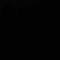 猫どらちゃん-NAO-HY