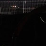 かなっち-猫-DISH//