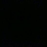 カラス.-魔法の絨毯-川崎鷹也