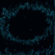 Majocco-明日も-SHISHAMO