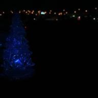 ちえるん⭐️休止中🙇♀️🙇♀️-WINTER SONG-DREAMS COME TRUE