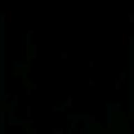 higemajiro-カナリヤ-米津玄師