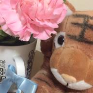 おおさかばぐりん-For フルーツバスケット-岡崎律子