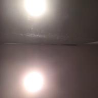 金のたまご-感電-米津玄師