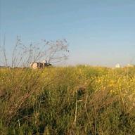 ichigo-あなただけ見つめてる-大黒摩季