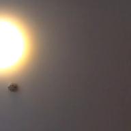 milktea-残酷な天使のテーゼ-高橋洋子