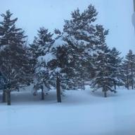 😄ムーミンパパ🥺-悲しみは雪のように-浜田省吾