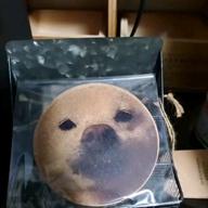 takuwan-魔法の絨毯-川崎鷹也