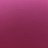 えみりー-カブトムシ-aiko