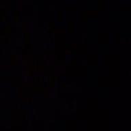 Mira-金魚花火-大塚 愛