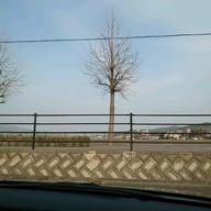 ミィナ☆-ヘッドライト・テールライト-中島みゆき