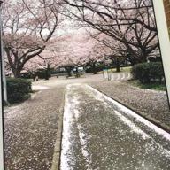 mika-heavenly days-新垣結衣