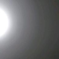 しなちゃん-順子-長渕剛