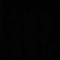 ろてぃ🐰🐤🐣-unlasting-LiSA