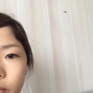 モノマネのピンポン-SUMMER SONG-YUI