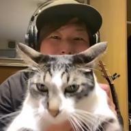 あきあき🍌-猫-DISH//