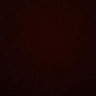 スピンバット-世界が終るまでは…-WANDS