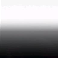 🦍oiwai🦍-ドライフラワー-優里