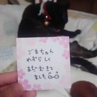 ごまだれ明太子-Alive A life(アライヴアライフ)-松本梨香